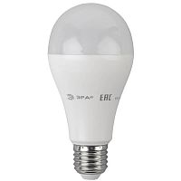 Лампа светодиодная ЭРА E27 19W 6000K матовая LED A65-19W-860-E27 Б0031704 в г. Санкт-Петербург 