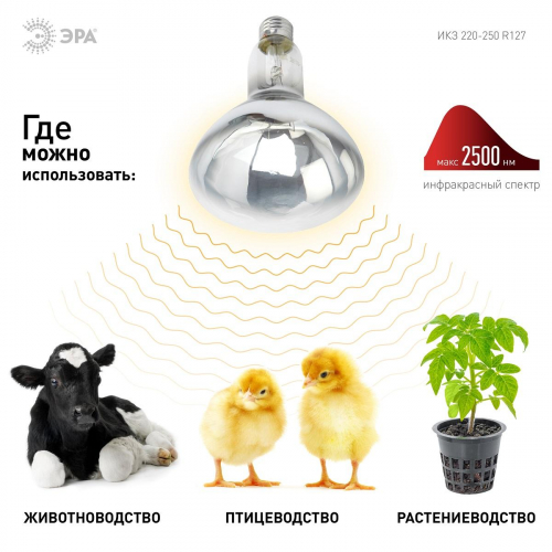 Лампа инфракрасная ЭРА E27 250 Вт для обогрева животных и освещения ИКЗ 220-250 R127 E27 Б0055440 в г. Санкт-Петербург  фото 3