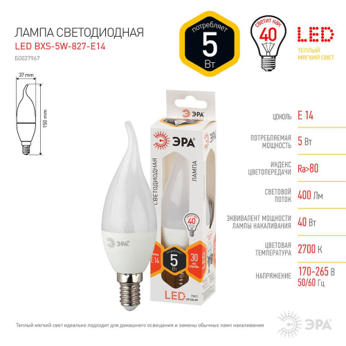 Лампа светодиодная ЭРА E14 5W 2700K матовая LED BXS-5W-827-E14 Б0027967 в г. Санкт-Петербург  фото 2