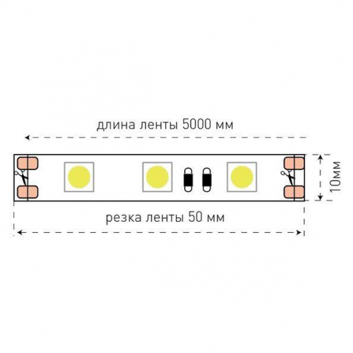 Светодиодная лента SWG 14,4W/m 60LED/m 5050SMD синий 5M 002337 в г. Санкт-Петербург  фото 2