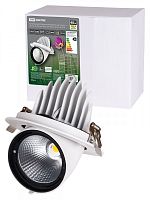 SQ0369-0402 Светильник встраиваемый поворотный "Акцент-1" LED DSL-01-040-WW 40 Вт, 24°, 3000 К, 90 Ra, IP40, TDM
