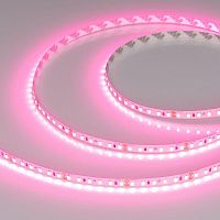 043380 Лента светодиодная RT-A120-8mm 24V Pink 9.6Вт/м IP20 2835 (уп.5м) Arlight 