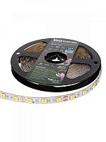 SQ0331-0368 Лента светодиодная SMD5050-60 LED/м-IP20-12 В-14,4 Вт/м-4000 К (5 м) блистер TDM