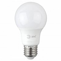 Лампа светодиодная ЭРА E27 8W 6500K матовая A60-8W-865-E27 R Б0045323 в г. Санкт-Петербург 