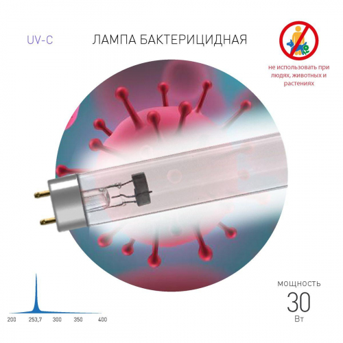 Лампа ультрафиолетовая бактерицидная ЭРА UV-С ДБ 30 Т8 G13 Б0048973 в г. Санкт-Петербург  фото 3