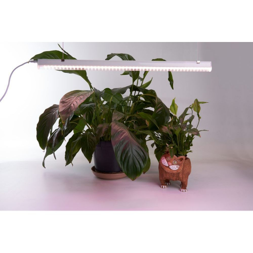 Светодиодный светильник для растений, спектр фотосинтез (полный спектр) 9W, пластик, AL7002 41354 в г. Санкт-Петербург  фото 2