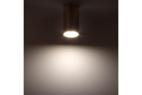 Накладной потолочный светильник Ritter Arton 59953 1 в г. Санкт-Петербург  фото 2