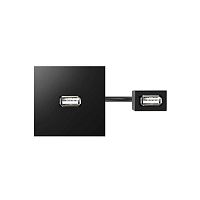 40001191-038 Модуль с адаптером проходной USB мама/мама черн. Simon 400 