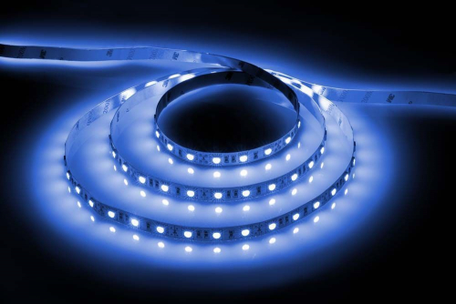Cветодиодная LED лента Feron LS606, 60SMD(5050)/м 14.4Вт/м  5м IP20 12V синий 27763 в г. Санкт-Петербург 