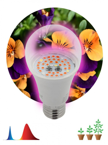 Лампа светодиодная для растений ЭРА E27 12W 1310K прозрачная Fito-12W-RB-E27 Б0050601 в г. Санкт-Петербург  фото 2
