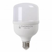 Лампа светодиодная Thomson E27 50W 6500K матовая TH-B2366 в г. Санкт-Петербург 