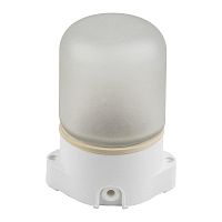 Потолочный влагозащищенный светильник для бань и саун Uniel UWL-K01R 60W/E27 IP65 White UL-00011471 в г. Санкт-Петербург 