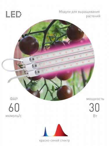 Модульный светодиодный светильник для растений ЭРА Fito-3х10W-Line-RB90 Б0050924 в г. Санкт-Петербург  фото 3