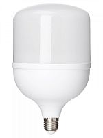 SQ0340-1649 Лампа светодиодная T-60 Вт-230 В-6500 К–E27 (135х225 мм) НАРОДНАЯ