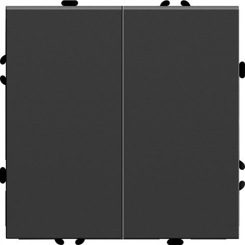 Переключатель 2-клавишный (механизм), STEKKER, 250В, 10А, серия Эмили, RSW10-5107-05, черный уголь, soft touch 49843 в г. Санкт-Петербург 