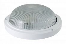 SQ0311-0017 Светильник НПП 03-100-002 (металл, стекло) IP65 TDM