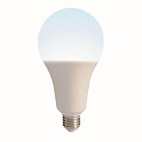 Лампа светодиодная Volpe E27 35W 4000K матовая LED-A95-35W/4000K/E27/FR/NR UL-00005608 в г. Санкт-Петербург 