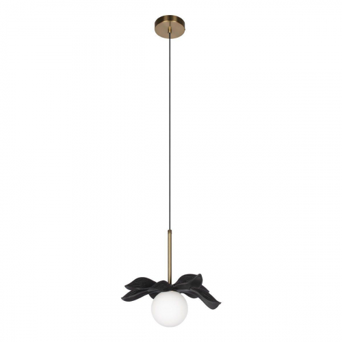 Подвесной светильник Loft IT Monro 10213/A Black в г. Санкт-Петербург 