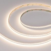 045566 Лента светодиодная RT-A280-8mm 24V Warm 3000К 10Вт/м IP20 (уп.5м) Arlight 