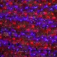 215-033 Гирлянда светодиодная "Сеть" 2.5х2.5м 432LED красн./син. 26Вт 220-240В IP65 провод ПВХ черн. Neon-Night 