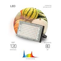 Б0057284 Прожектор светодиодный FITO-80W-Ra90-LED-Y 80Вт для растений полноспектральный IP65 Эра 