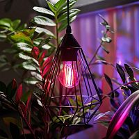 Лампа светодиодная филаментная 11.5Вт A60 грушевидная прозрачная E27 1150лм 0.25% Blue 440-470Nm 0.75% Red 630-670NmK для растений Rexant 604-146 в г. Санкт-Петербург 