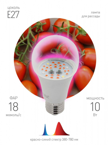 Лампа светодиодная для растений ЭРА E27 10W 1310K прозрачная Fito-10W-RB-E27 Б0050600 в г. Санкт-Петербург  фото 3