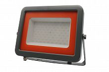 2853318D Прожектор светодиодный PFL-S2 70Вт 6500К IP65 220–240В ДО с клапаном закален. матов. стекло сер. Pro JazzWay 