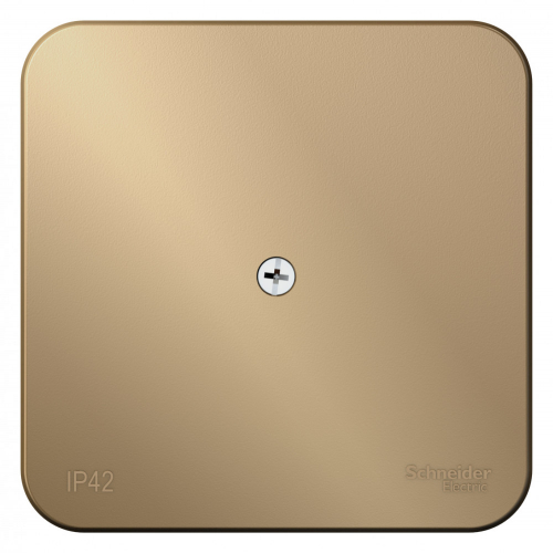 BLNRK000014 Коробка распределительная ОП Blanca IP42 титан SE 