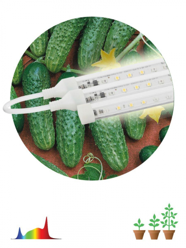 Модульный светодиодный светильник для растений ЭРА Fito-3х10W-Line-Ra90 Б0049315 в г. Санкт-Петербург  фото 2