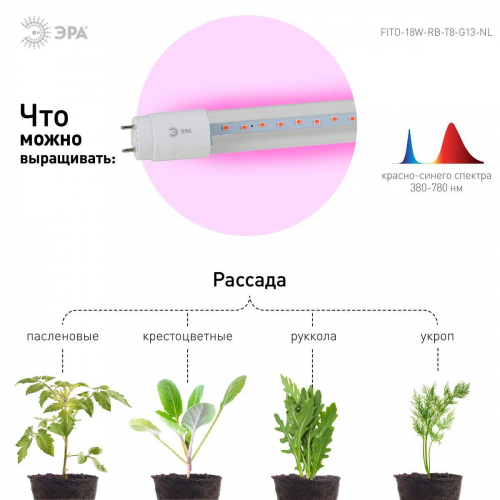 Лампа светодиодная для растений ЭРА G13 18W 1200K прозрачная Fito-18W-RB-Т8-G13-NL Б0042990 в г. Санкт-Петербург  фото 4