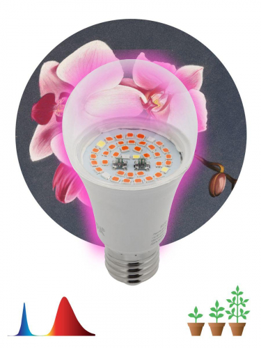 Лампа светодиодная для растений ЭРА E27 14W 1310K прозрачная Fito-14W-RB-E27 Б0050602 в г. Санкт-Петербург  фото 2