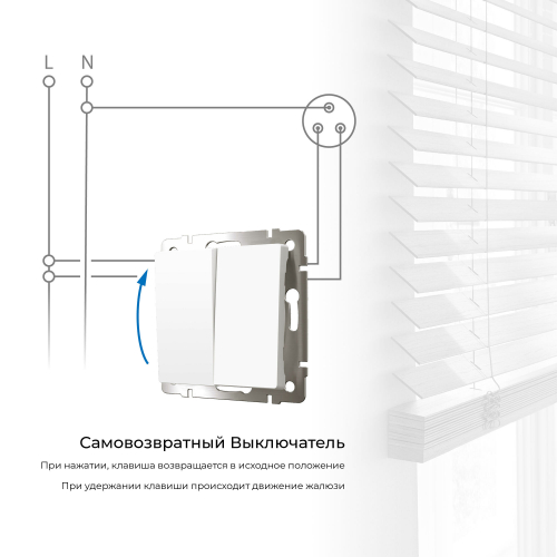 Выключатель двухклавишный с самовозвратом (белый) W1122401 в г. Санкт-Петербург  фото 2