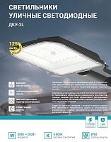 4690612057088 Светильник уличный линзованный светодиодный ДКУ-2L 70Вт 230В 5000К 8750лм 125лм/Вт 42-48мм IP65 NEOX 