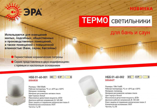 Потолочный светильник ЭРА Лидер НББ 01-60-001 Б0048030 в г. Санкт-Петербург  фото 2