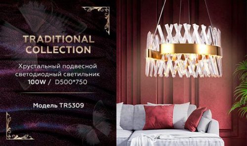 Подвесной светодиодный светильник Ambrella light Traditional TR5309 в г. Санкт-Петербург  фото 2
