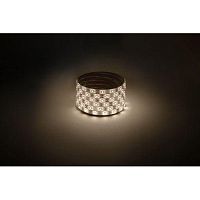 Б0035592 Лента светодиодная LS2835-60LED-IP65-WW-eco-5m (80/1920) (уп.5м) Эра 
