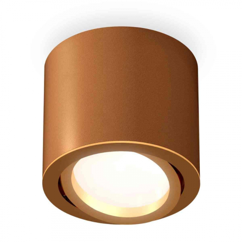 Комплект накладного светильника Ambrella light Techno Spot XS7404001 SCF/PYG кофе песок/золото желтое полированное (C7404, N7004) в г. Санкт-Петербург 