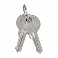 Ключ для замка (арт. 18-16/38-ip31) PROxima EKF key-2 в г. Санкт-Петербург 