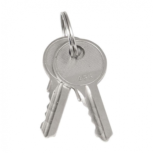 Ключ для замка (арт. 18-20/38-ip31) PROxima EKF key-1 в г. Санкт-Петербург 