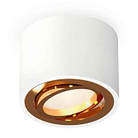 Комплект накладного светильника Ambrella light Techno Spot XS7510004 SWH/PYG белый песок/золото желтое полированное (C7510, N7004) в г. Санкт-Петербург 