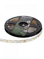 SQ0331-0370 Лента светодиодная SMD5050-60 LED/м-IP20-12 В-14,4 Вт/м-6000 К (5 м) блистер TDM