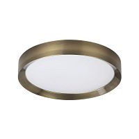 Потолочный светодиодный светильник Odeon Light Walli Lunor 4948/45CL в г. Санкт-Петербург 