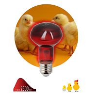 Лампа инфракрасная ЭРА E27 60 Вт для обогрева животных и освещения ИКЗК 230-60 Вт R63 Е27 Б0057281 в г. Санкт-Петербург 