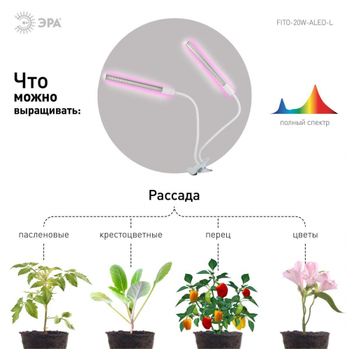 Светодиодный светильник для растений ЭРА Fito-20W-Аled-L Б0049550 в г. Санкт-Петербург  фото 2