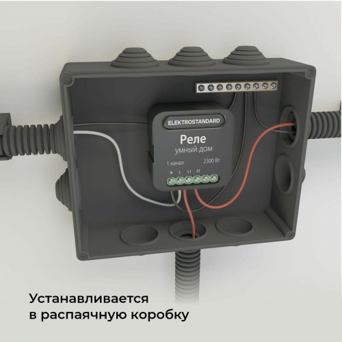 Реле Wi-Fi Elektrostandard 76006/00 4690389185069 в г. Санкт-Петербург  фото 2