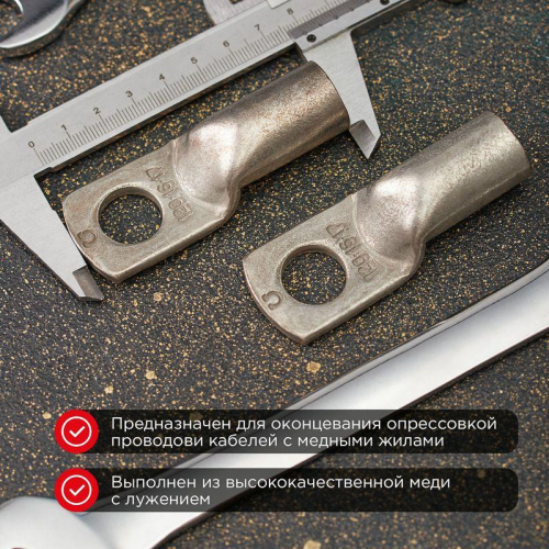 07-5315 Наконечник ТМЛ 25-10-8 Rexant  фото 2