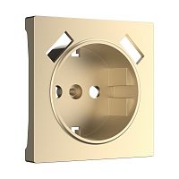 4690389157462 Накладка для USB розетки (шампань) W1179511