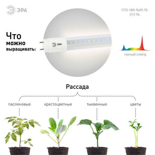 Лампа светодиодная для растений ЭРА G13 18W 1200K прозрачная Fito-18W-Ra90-Т8-G13-NL Б0042987 в г. Санкт-Петербург  фото 3