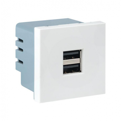 Розетка USB сила тока 2.1А (2 гнезда) без индикатора EKF E2MR2-20USB-10 в г. Санкт-Петербург 
